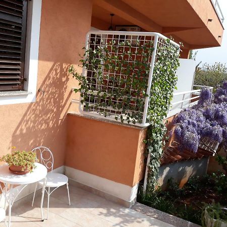 Apartmani Lina Umag Exteriör bild